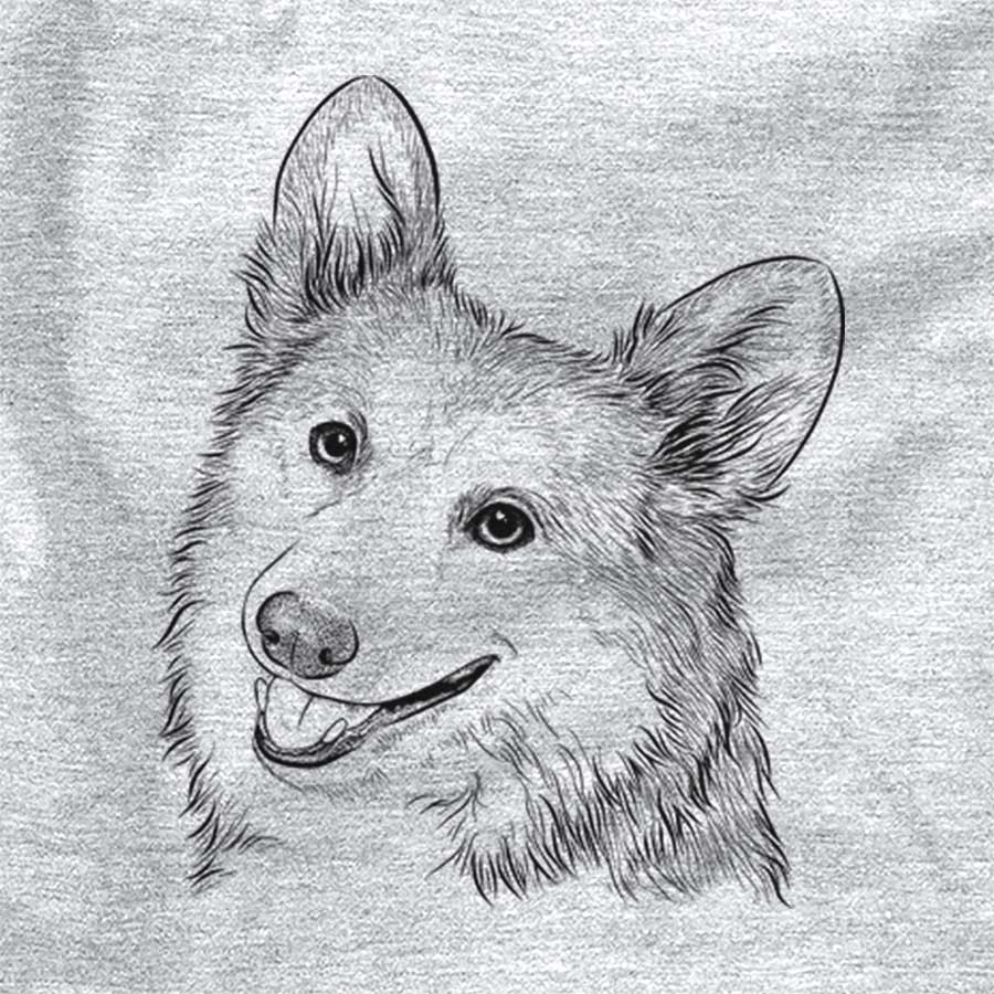 Scout the Pembroke Welsh Corgi