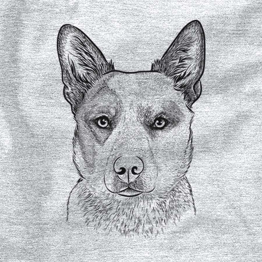 Snap the Australian Cattle Dog