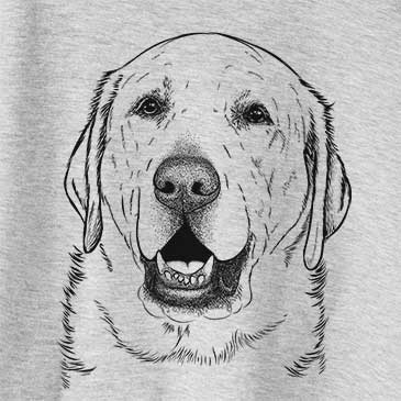 Sparks the Labrador Retriever