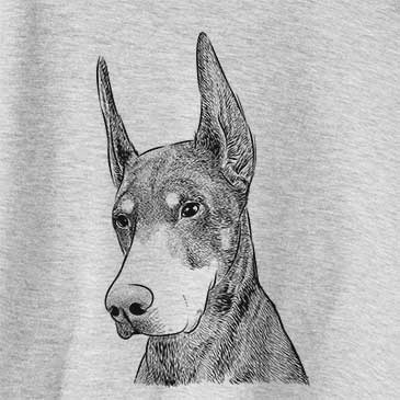 Sunny the Doberman Pinscher