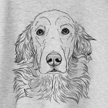 Sydney the Golden Retriever