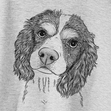 Truman the Cavalier King Charles Spaniel