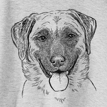 Willow the Anatolian Shepherd