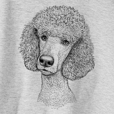 Yuki the Standard Poodle