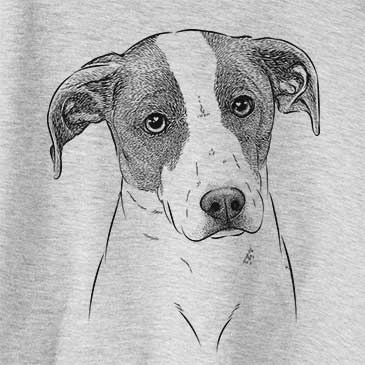 Zephyr the Pointer Mix