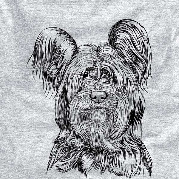 Bandit the Skye Terrier