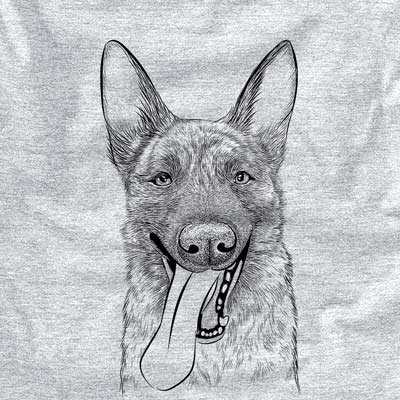 Bessa the Dutch Shepherd