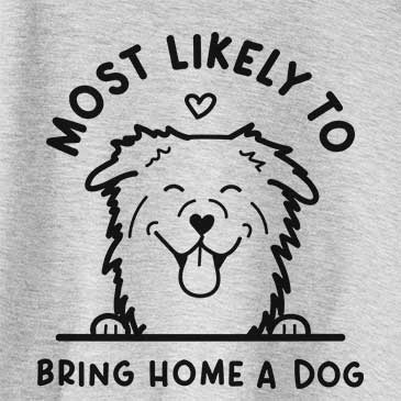 Most Likely to Bring Home a Dog - Aussie