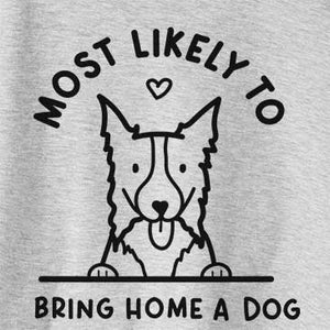 Most Likely to Bring Home a Dog - Border Collie