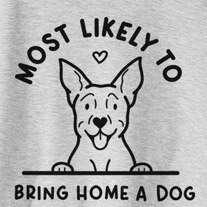 Most Likely to Bring Home a Dog - Carolina Dog