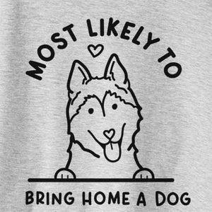 Most Likely to Bring Home a Dog - Siberian Husky