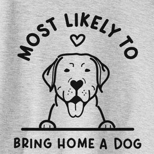 Most Likely to Bring Home a Dog - Labrador Retriever