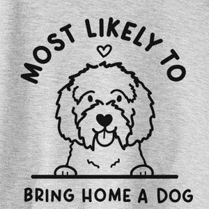 Most Likely to Bring Home a Dog - Maltipoo