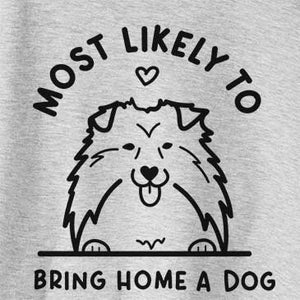 Most Likely to Bring Home a Dog - Shetland Sheepdog