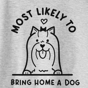 Most Likely to Bring Home a Dog - Yorkshire Terrier