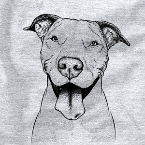 Bruce the American Staffordshire Terrier