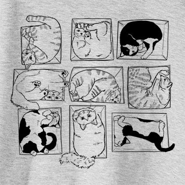 Cats in Boxes