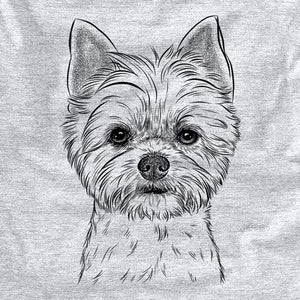 Chewy the Yorkshire Terrier
