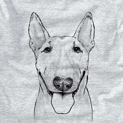 Chloe the Bull Terrier