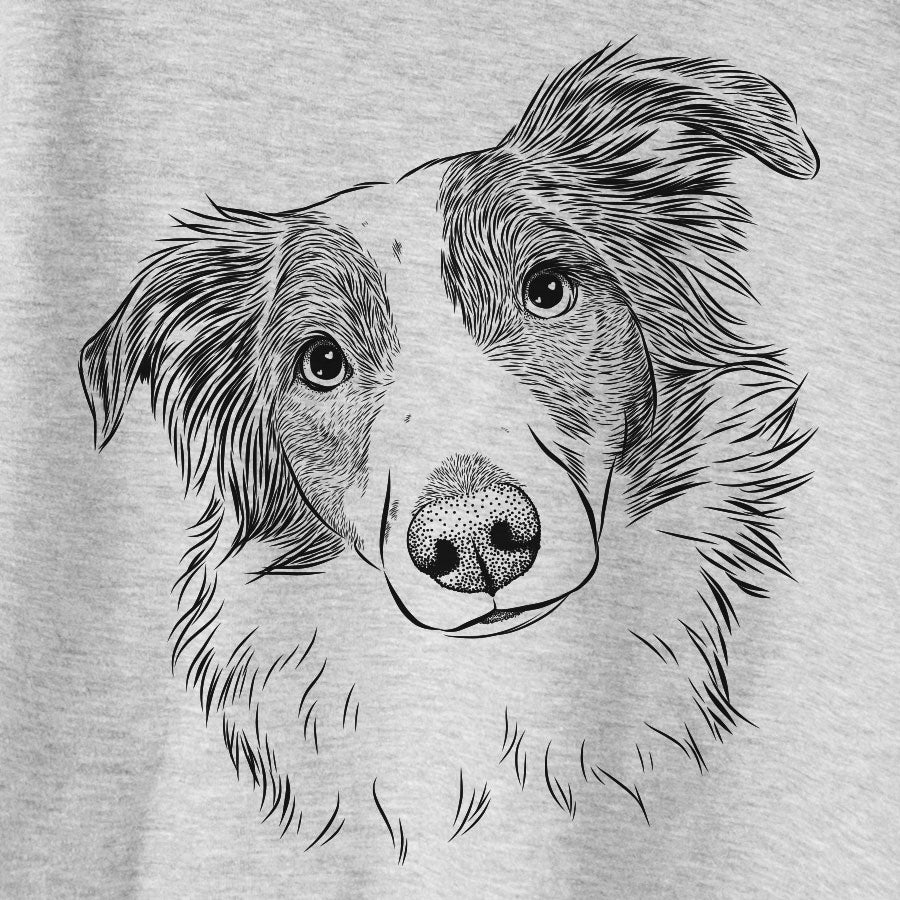 Cyclone the Australian Shepherd