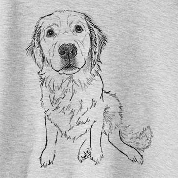 Doodled Autumn Golden Retriever Puppy