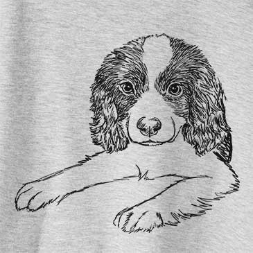 Doodled Bandit the Springer Spaniel Puppy