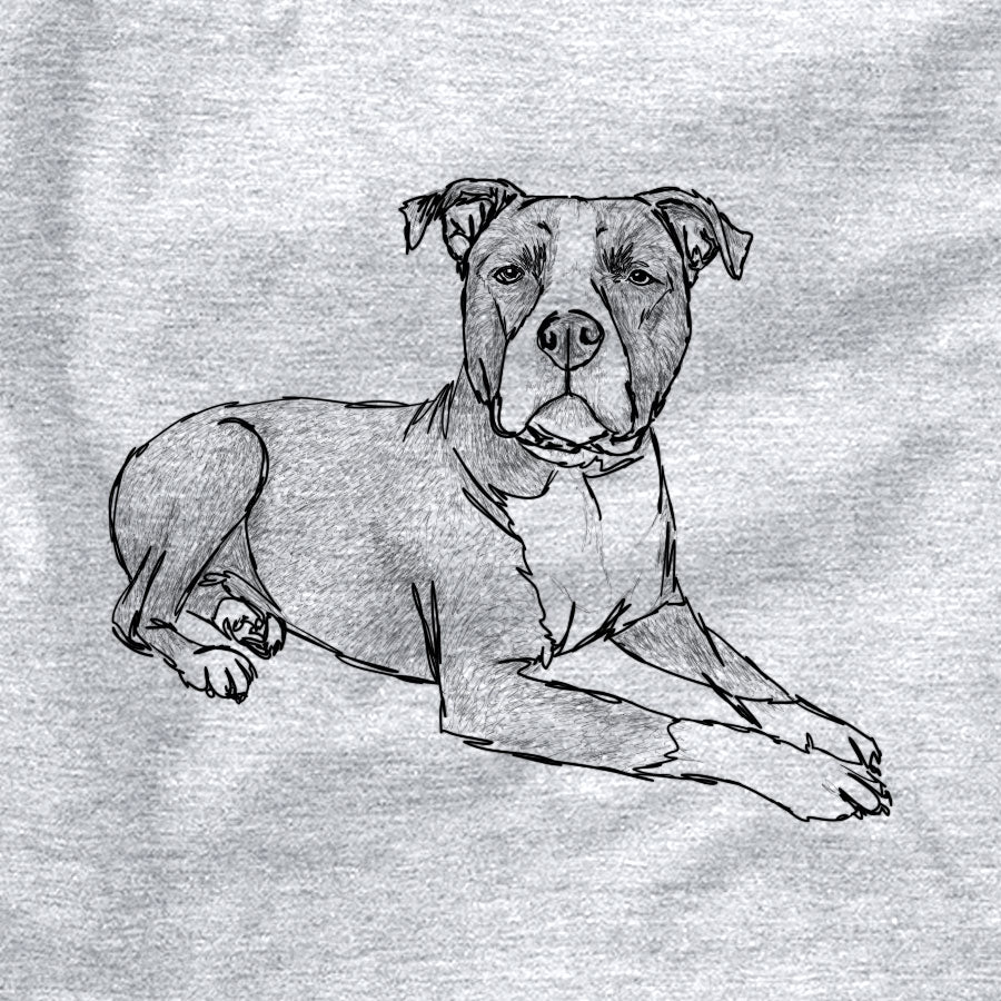 Doodled Bella the Pitbull