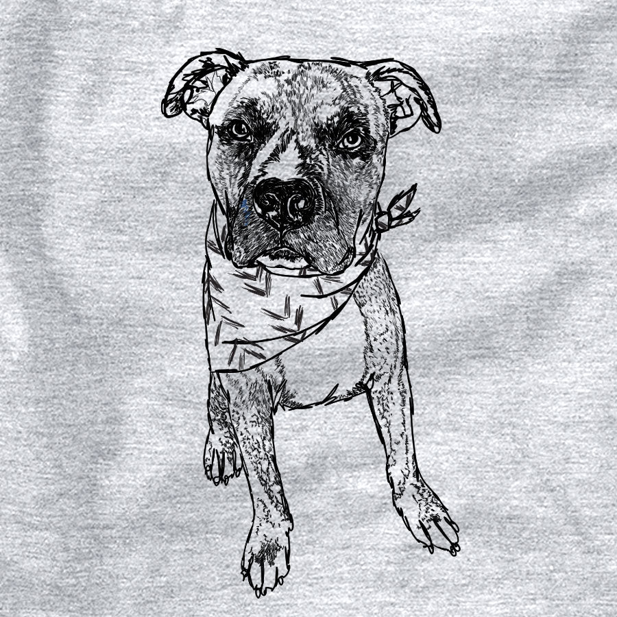 Doodled Benny the American Staffordshire and Boxer Mix