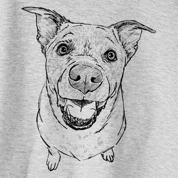 Doodled Boulder the Boxer/Heeler/Corgi Mix