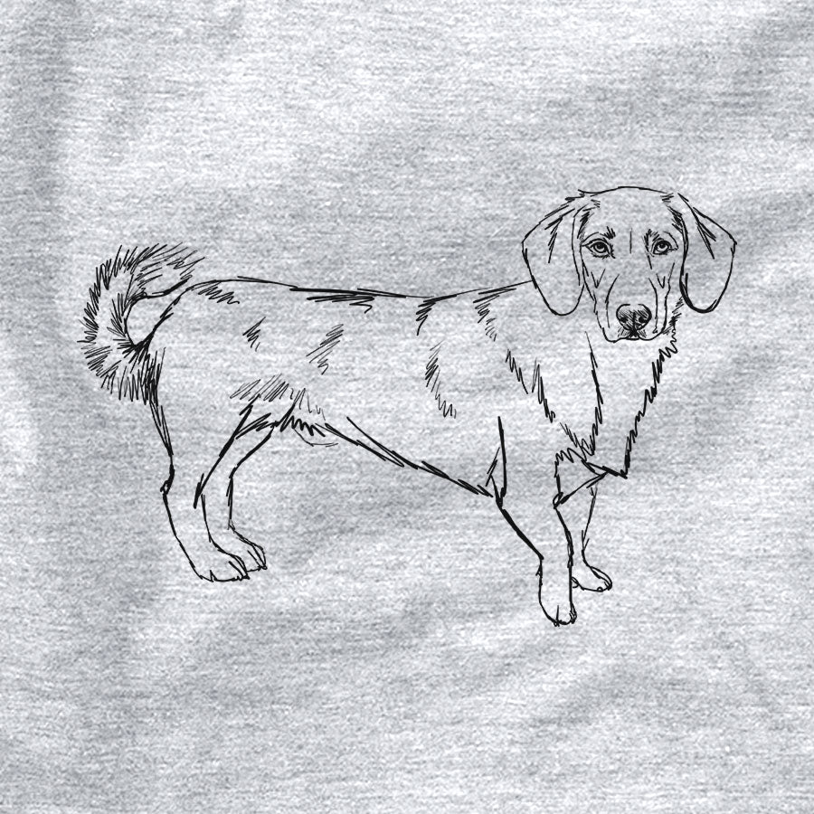 Doodled Buster the Basset Hound Mix