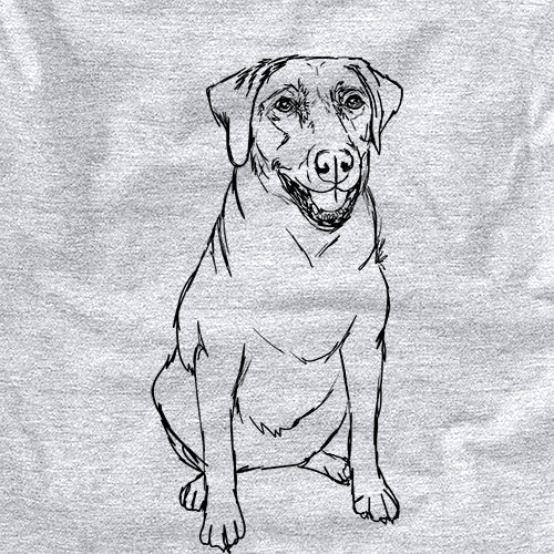 Doodled Callie the Labrador Retriever