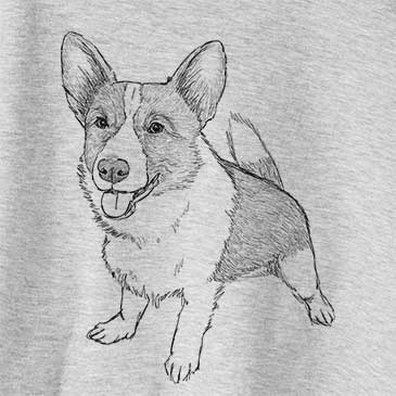 Doodled Chapito Corgi