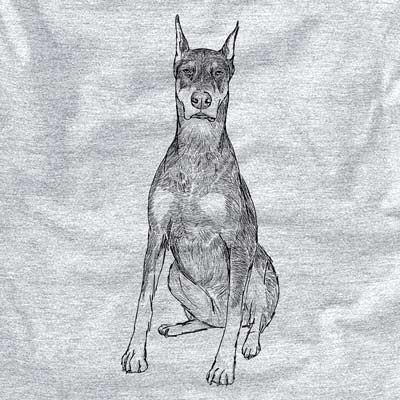 Doodled Drake the Doberman Pinscher