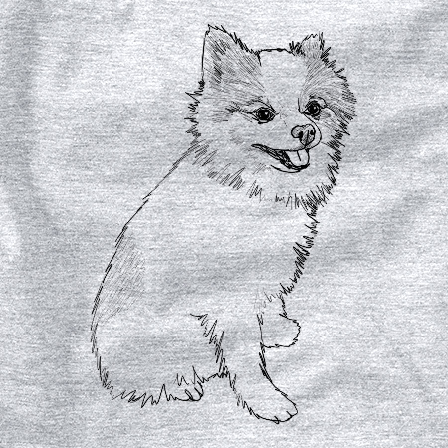 Doodled Edison the Pomeranian