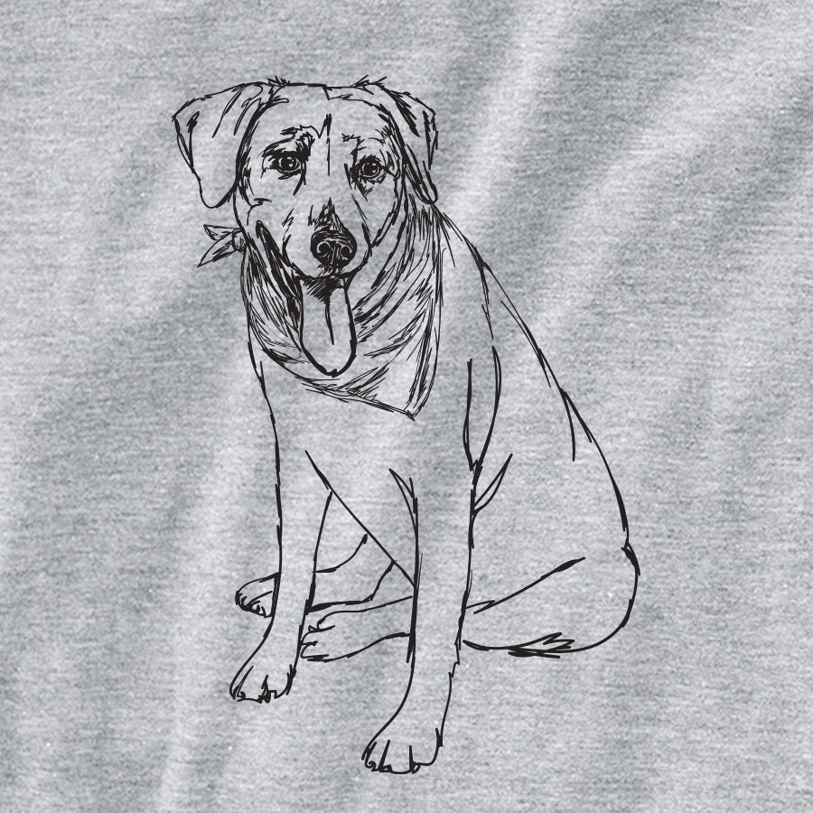 Doodled Faith the Labrador Retriever