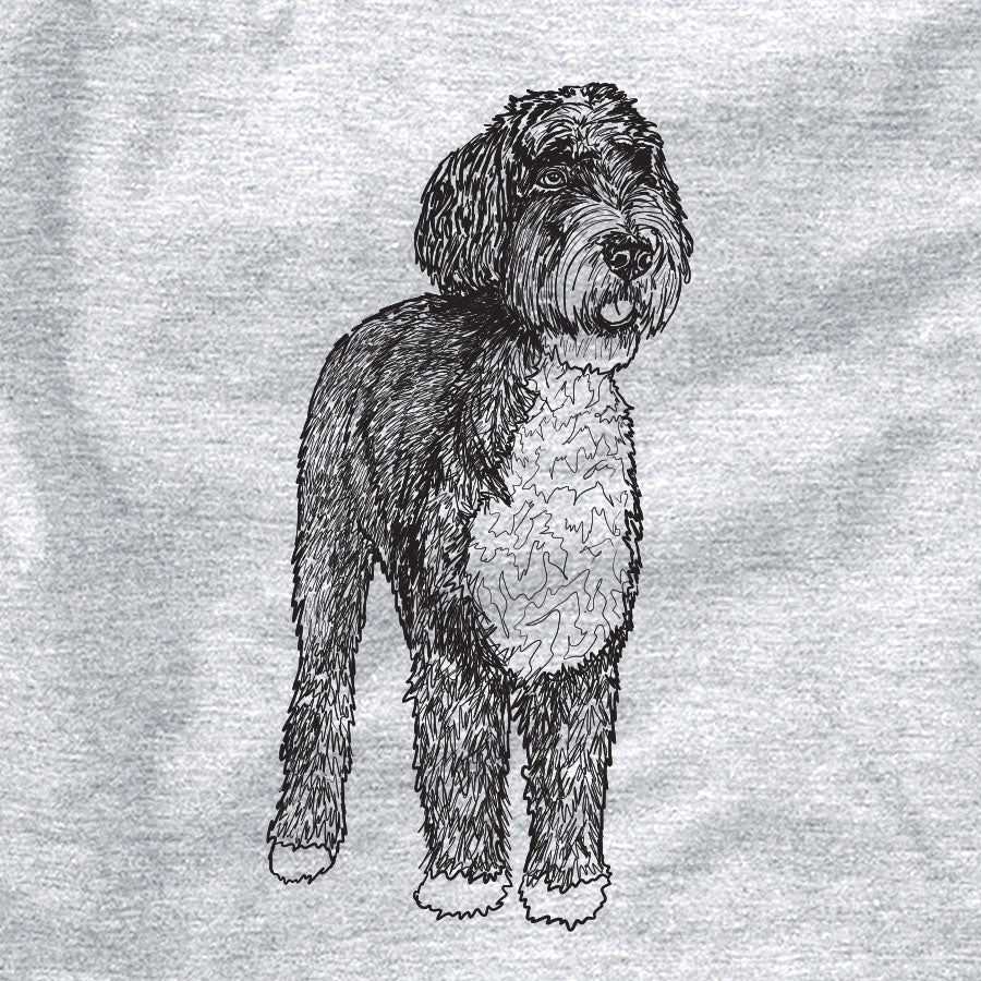 Doodled Finn the Bernedoodle