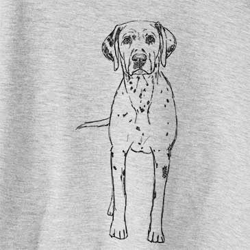 Doodled Gneiss the Dalmatian