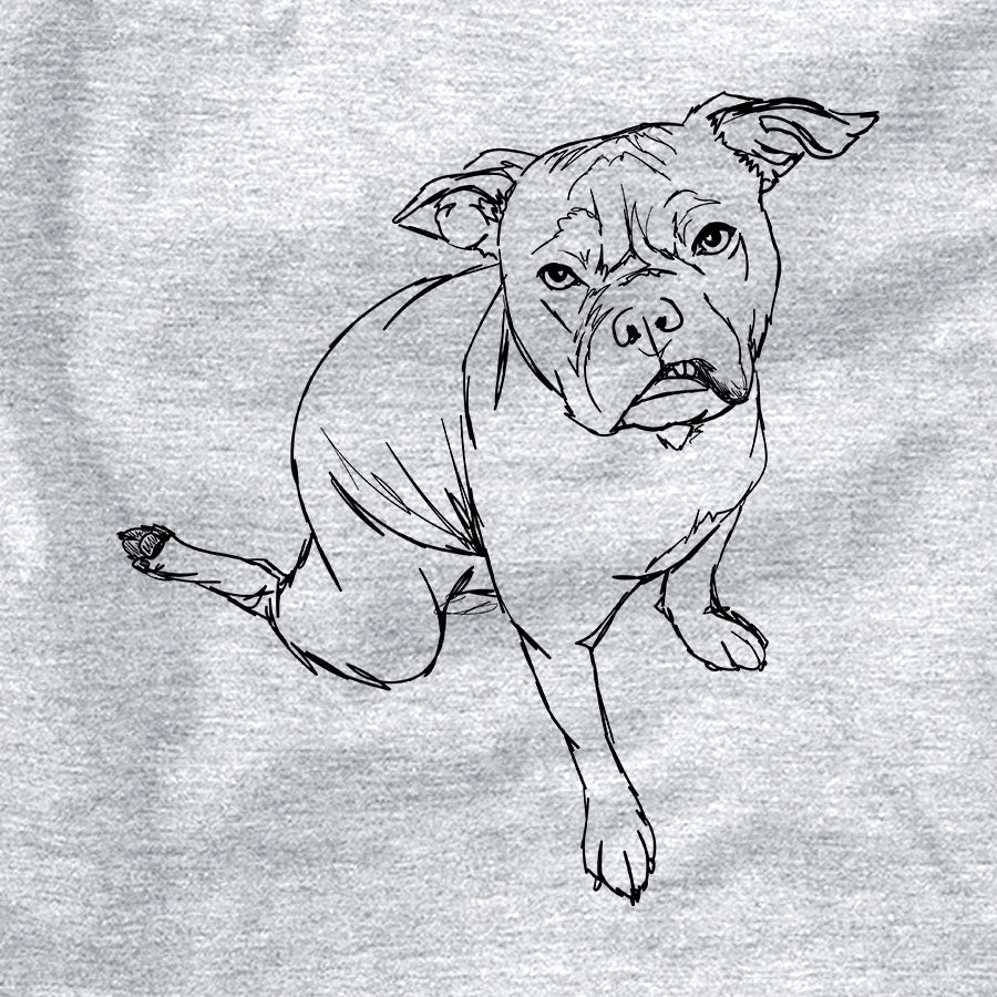 Doodled Gus the French Bulldog American Staffordshire Terrier Mix