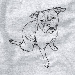 Doodled Gus the French Bulldog American Staffordshire Terrier Mix