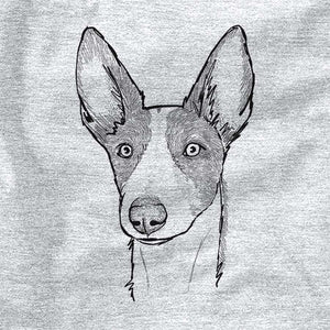 Doodled Hunee the Ibizan Sighthound