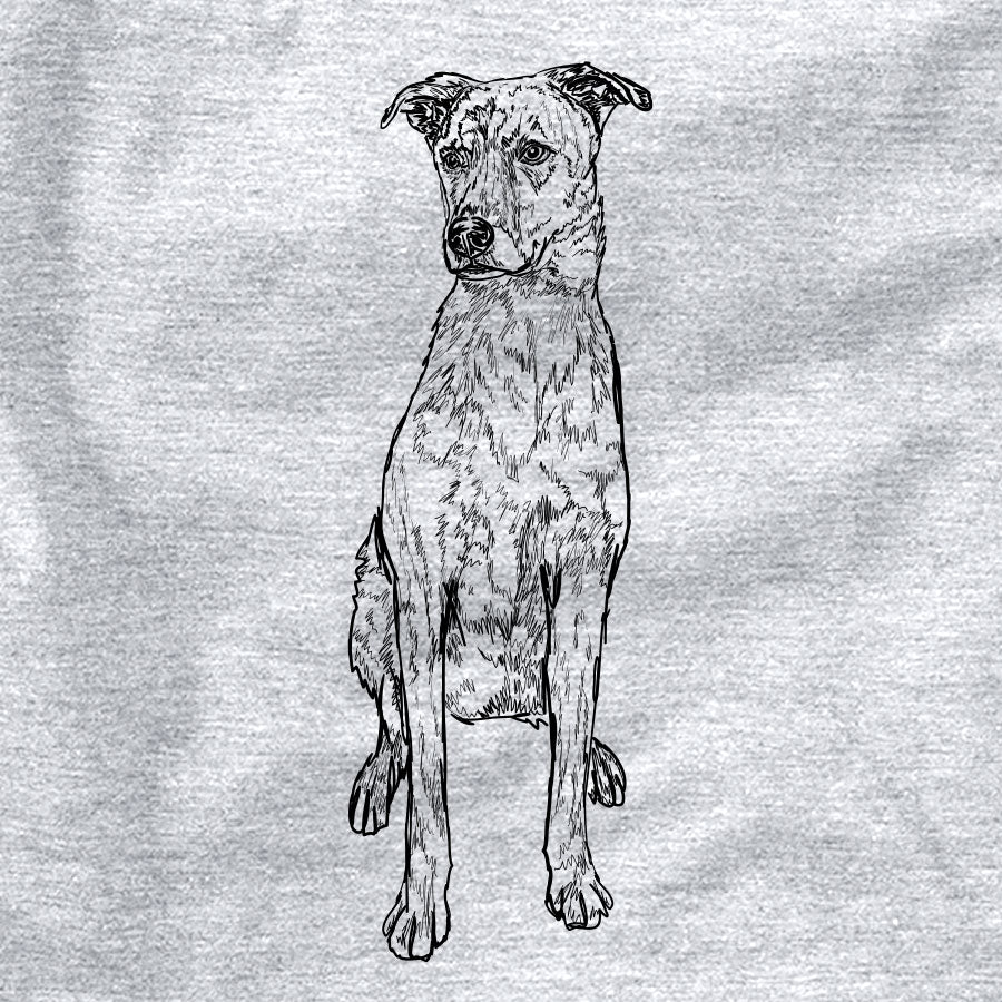 Doodled Jack the Catahoula