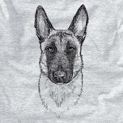 Doodled Jax the Belgian Malinois