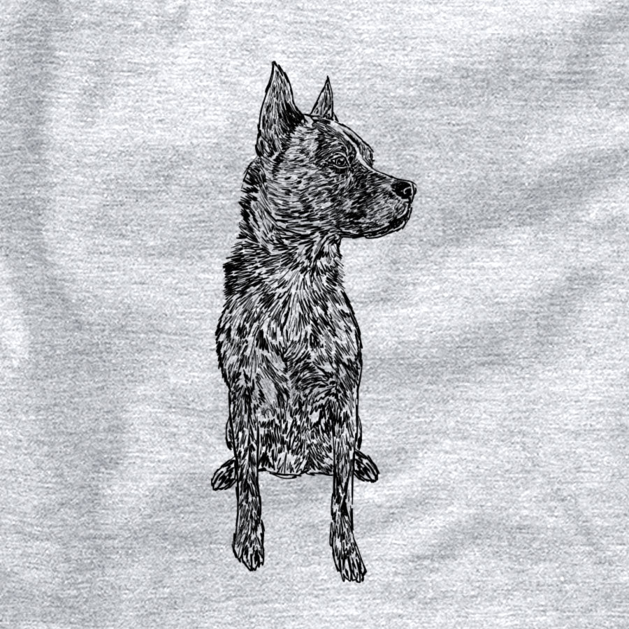 Doodled Koda the Chow Pit Mix