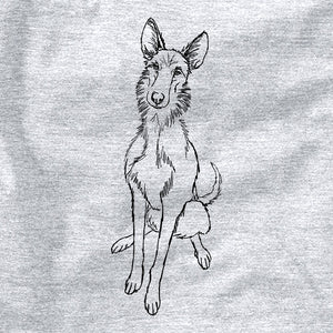 Doodled Mayze the Ibizan Sighthound