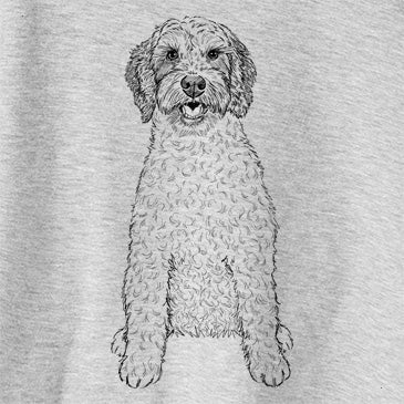 Doodled Penny the Mini Australian Labradoodle