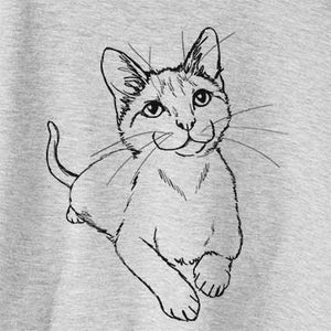 Doodled Quark the Siamese Cat