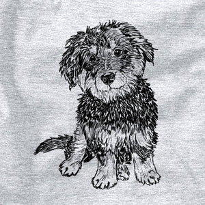 Doodled Remy the Mini Bernedoodle