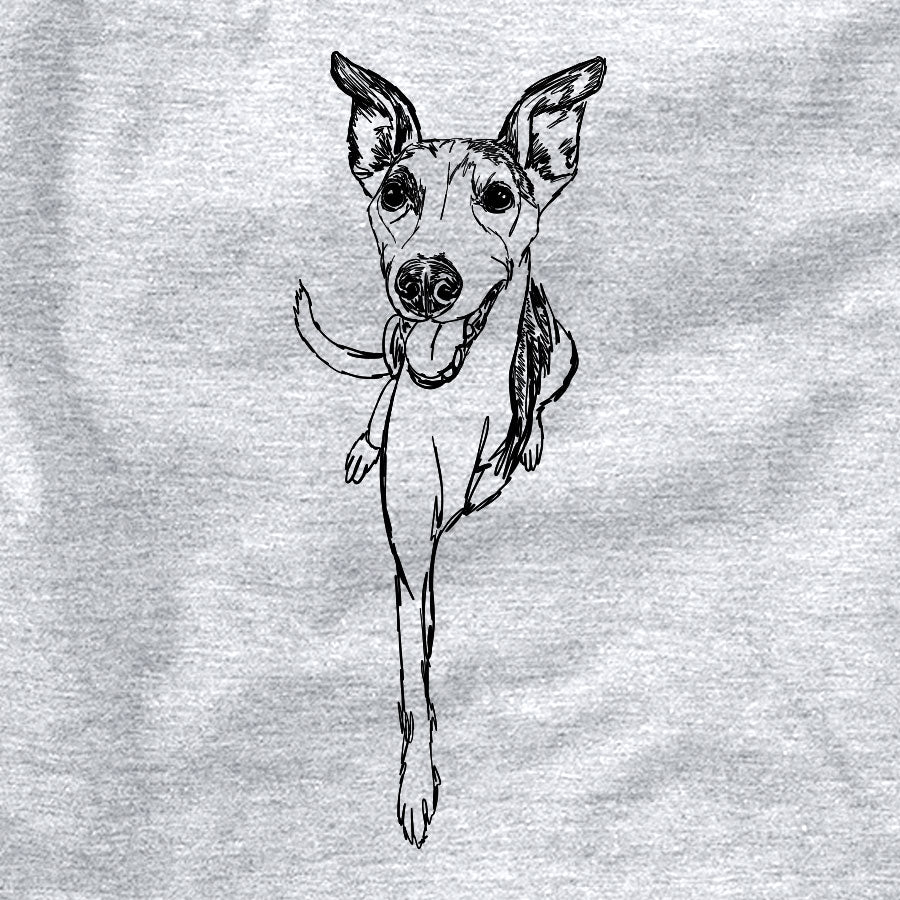 Doodled Sonic the Tripod Whippet