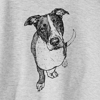 Doodled Vinny the Pittbull