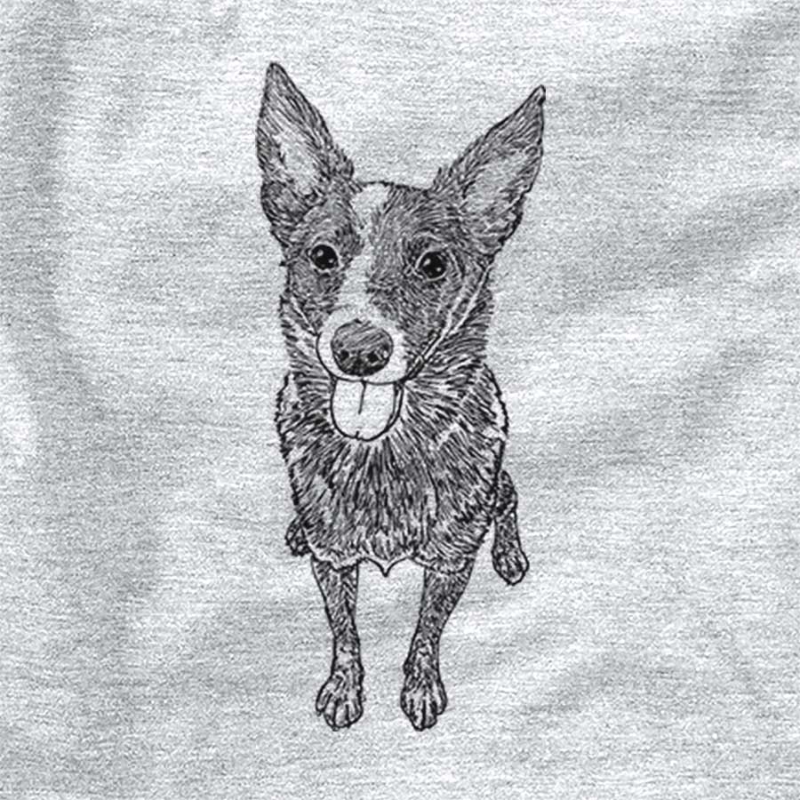 Doodled Zane the Australian Cattle Dog